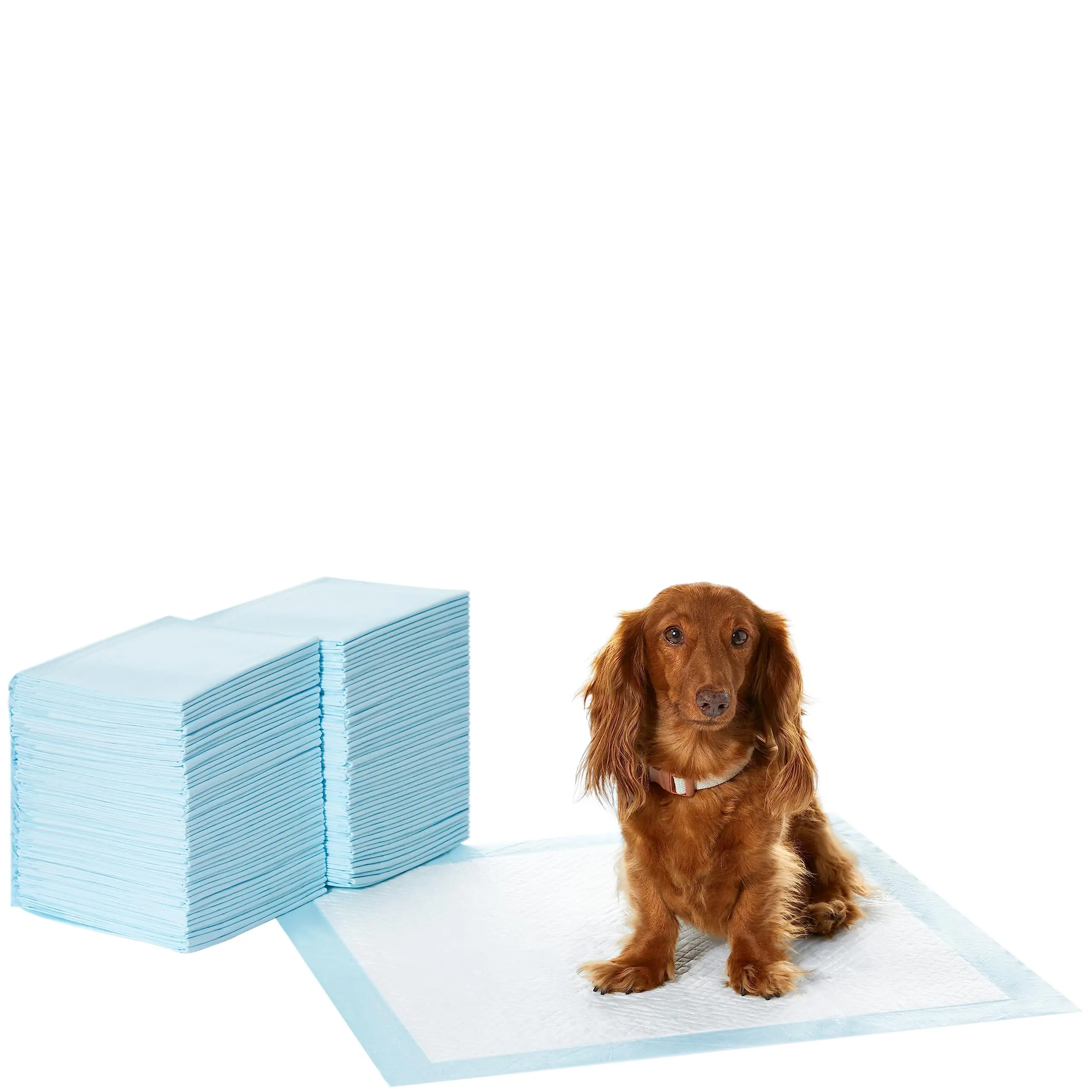 Pet Products And Puppy Pads Are Designed With Leak Proof And Quick Drying Suitable For Training Standards Water Absorption