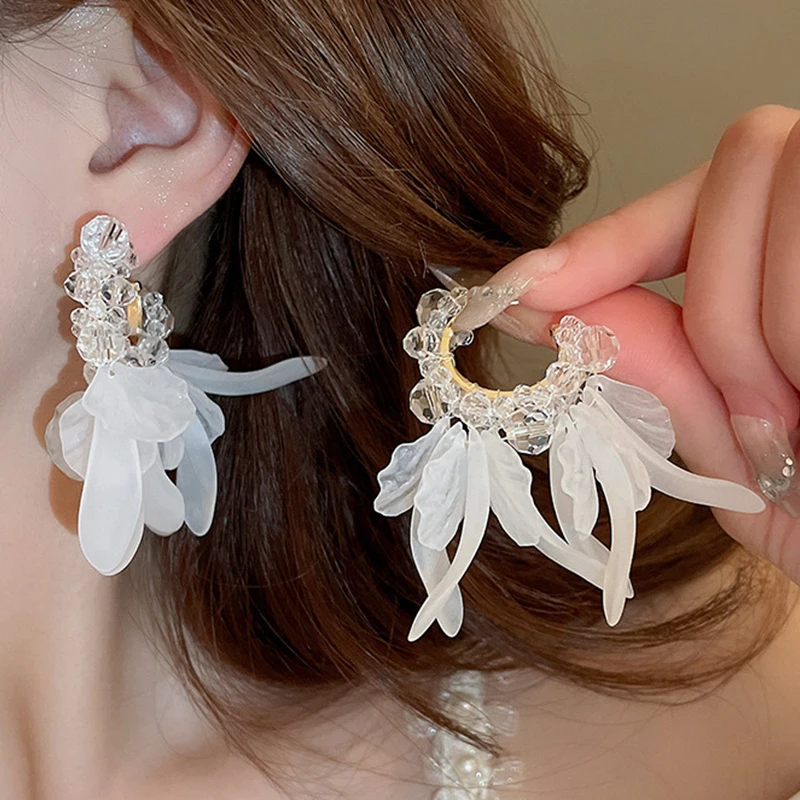Super Immortal Crystal Tassel Earrings Korean Luxury Earrings Summer Advanced Fresh Earrings