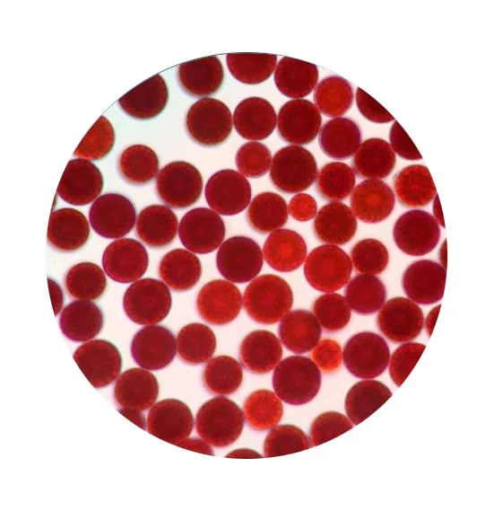 Haematococcus pluvialis extract Astaxanthin