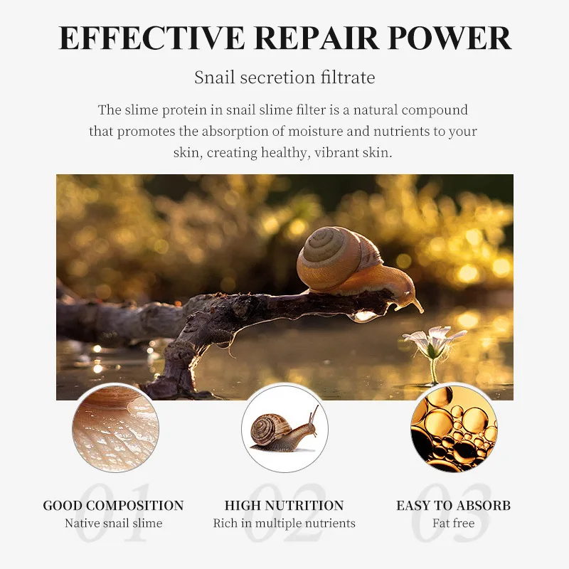 Snail  Essence care skin care set improve skin quality Face cream Eye mask Essence Water cleansing gel wholesale Customization