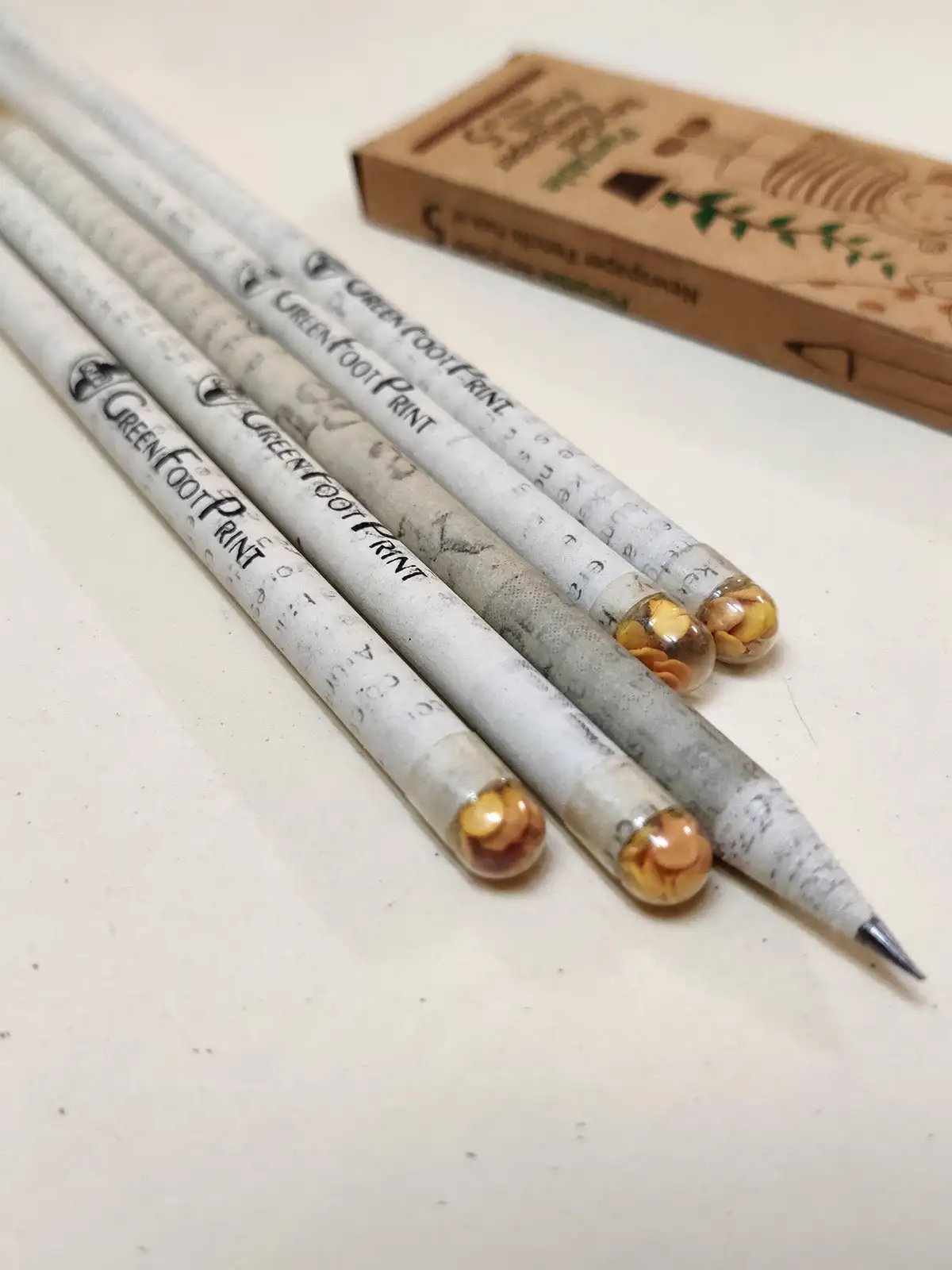 Eco-friendly Plantable Notebooks Paper Colour Pencils and Plant Pencils Kit Gift box