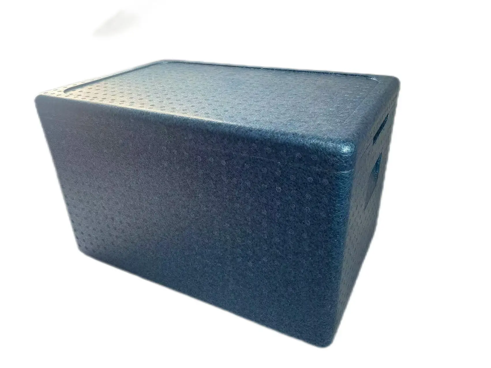 Quality Assurance  Chiller box Cold storage box  Refrigerator box