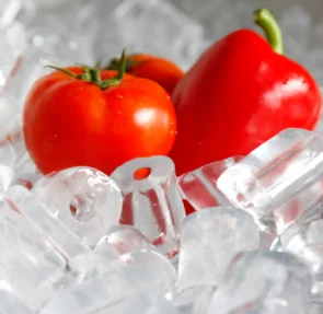 Industrial ice machine tube 10 ton with nice compressor water cooling