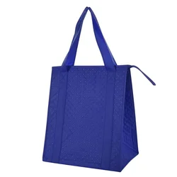 Factory Custom Aluminum Foil Coated Lunch Fresh Keeping Cold Storage Ice Pack Cooler Bag