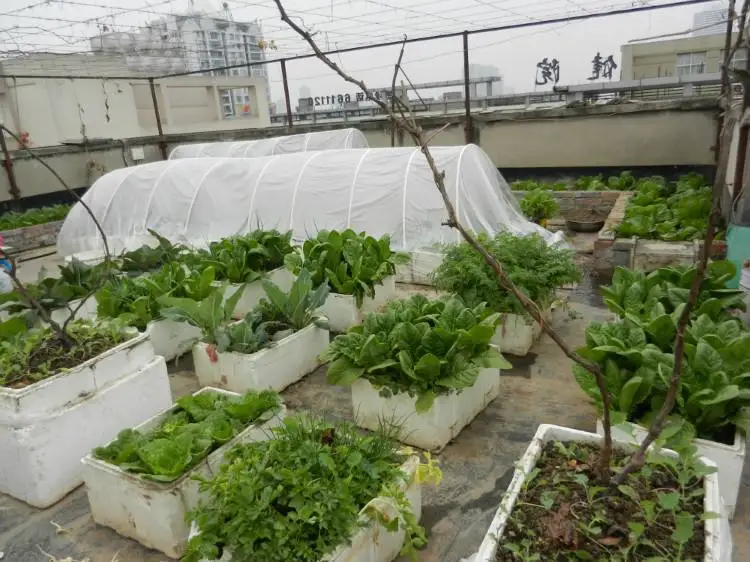 China EPS styrofoam customized size protective packaging insulated shipping box for fruit vegetable fish