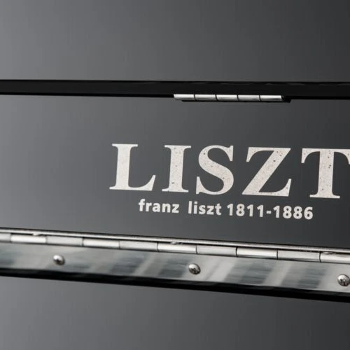 Factory Directly Sell Piano 88 Keys  High-Grade Spruce Sound Board Chinese Digital Piano