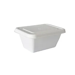 bagass take away food packing custom disposable biodegradable microwave 750ml lunch box with lid