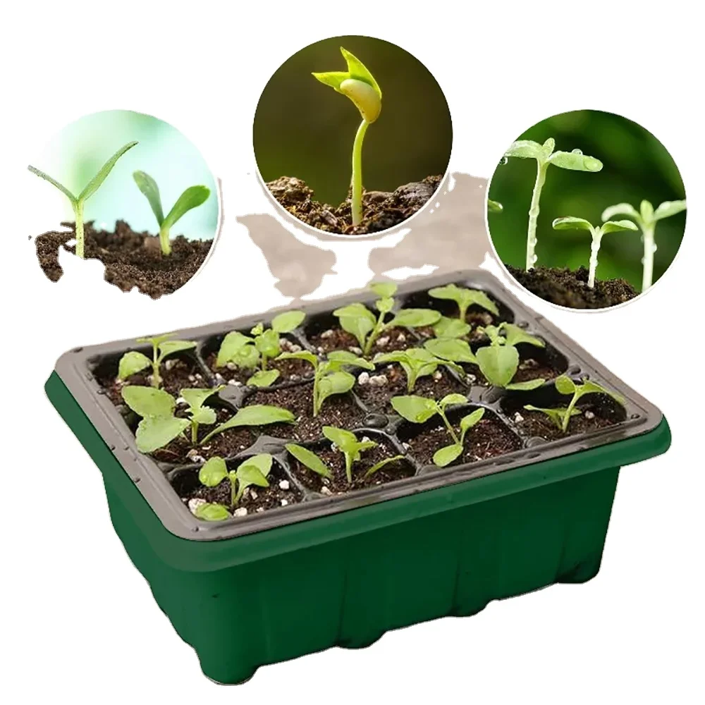 5 Pack Mini Greenhouse Germination Kit with Grow Light 3.9 inch Tall Lids and Adjustable Humidity Dome