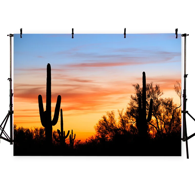 Drop Shipping Photography 3D Scenery Backdrop Cloth Print Women Party Decor Photo Studio Props Thin Vinyl Customize Background