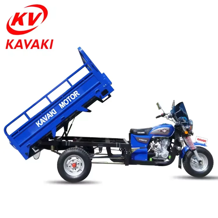 China New Style Tricycle Passenger And Cargo Motorcycle Fuel Cheapest High Horsepower 250cc Petrol Three Wheels Motorcycle