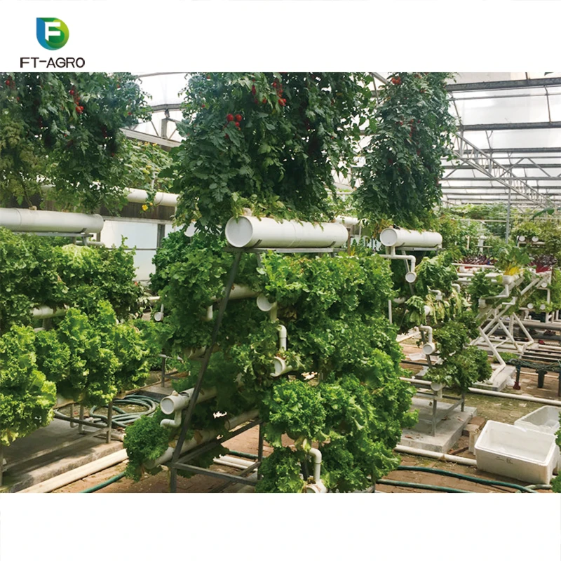 NFT hydroponics system Agricultural business tunnel greenhouse with complete system