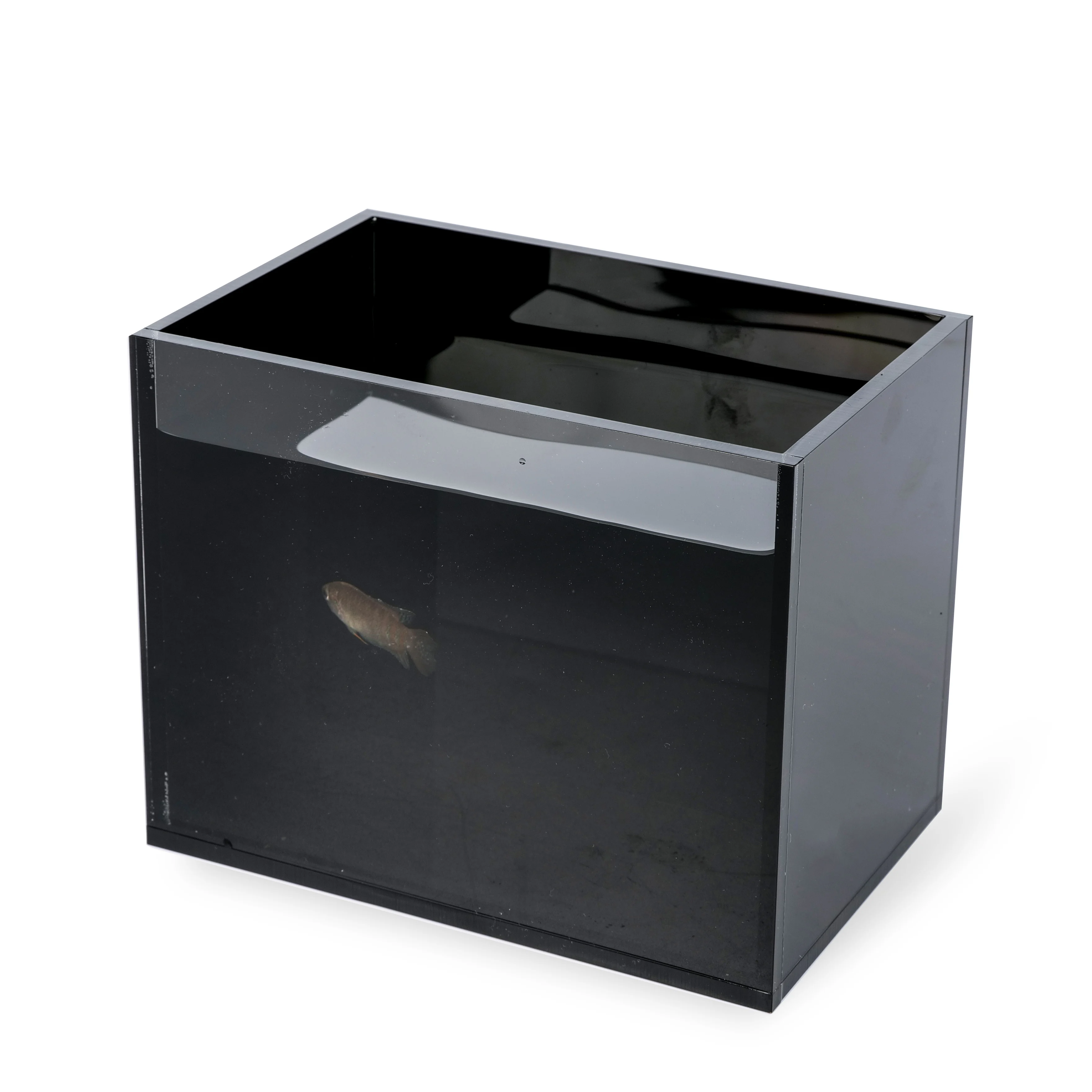 Black Small Acrylic Fish Tank  Mini Acrylic Betta Tank