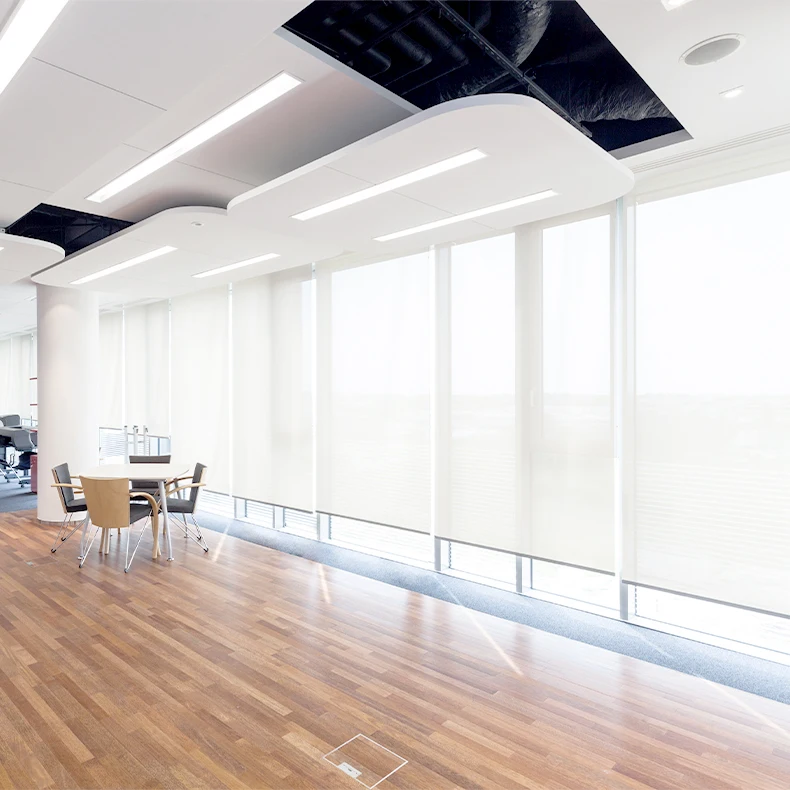 cordless Roller Blinds Roller Shades  Blackout Custom Size customize  Windows Shades for Windows for Home Safe for Children