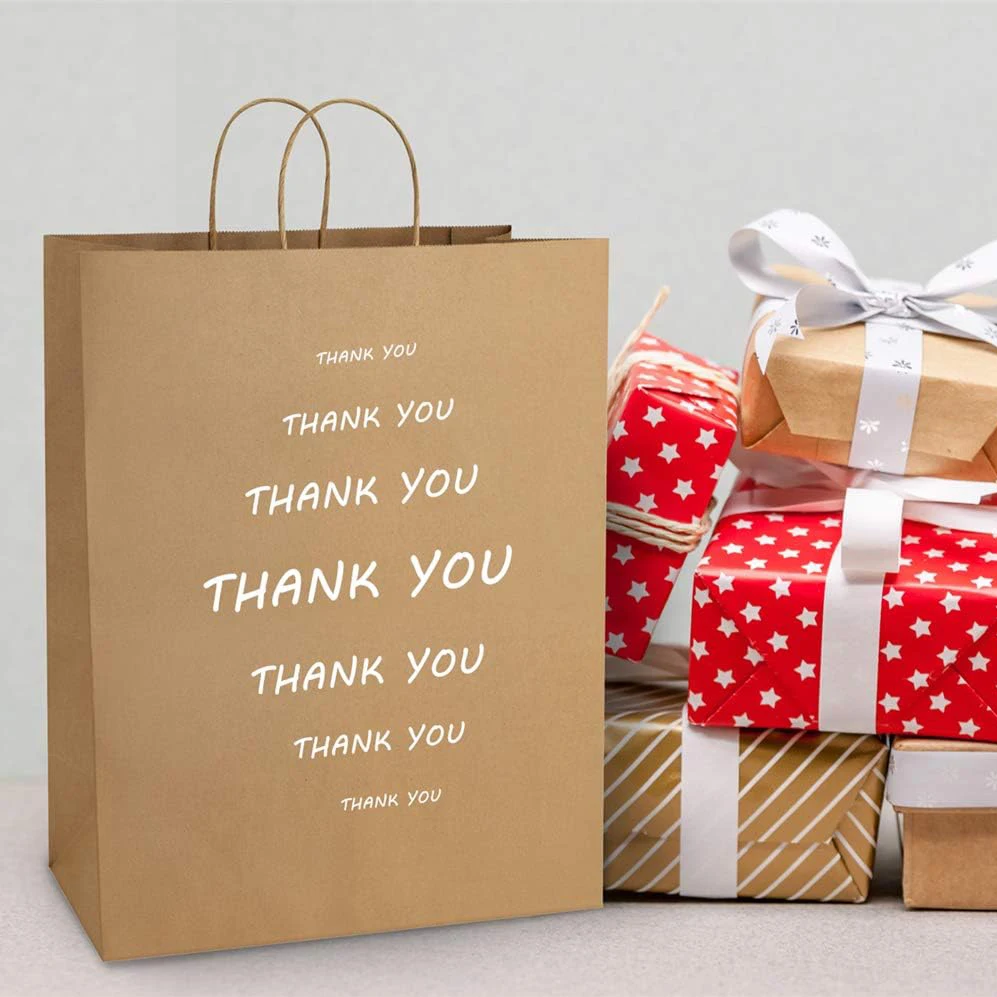 Luxury Printed Logo Kraft Paper Carry Shopping Bag With Gift Packaging With Ribbon Handle