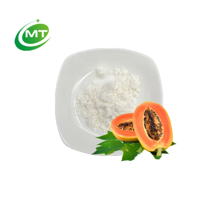 Organic Free Sample Pawpaw Fruit Extract Papain 600u/mg Carica Papaya Extract Powder