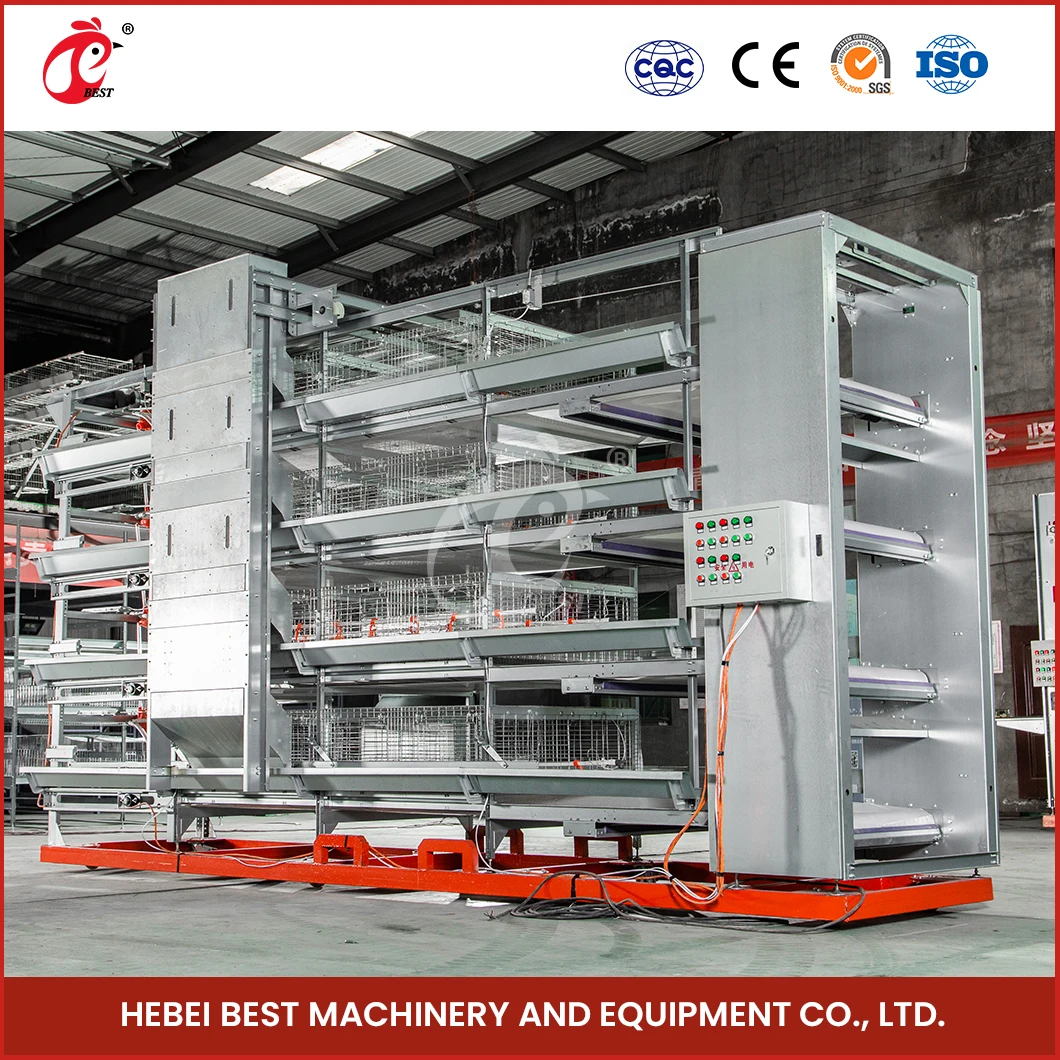 China Cheap Chicken Coops H Frame Automatic Boriler Cages Supplier Custom Clean And Hygienic Broiler House