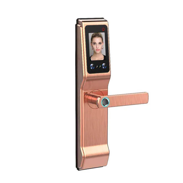 Huarui smart face recognition door lock &  door lock face recognition