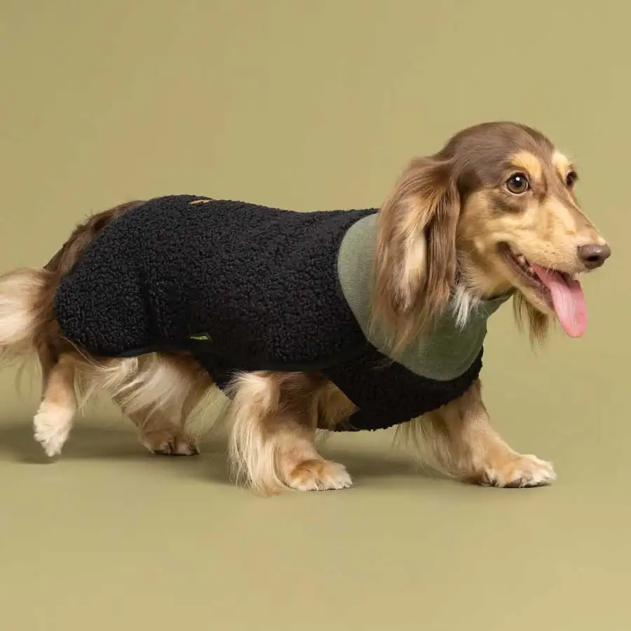 Qiqu Pet supplies custom New designer luxury Sherpa Turtleneck Dog Sweater pet Clothing For Dogs Dog Jersey for dachshunds