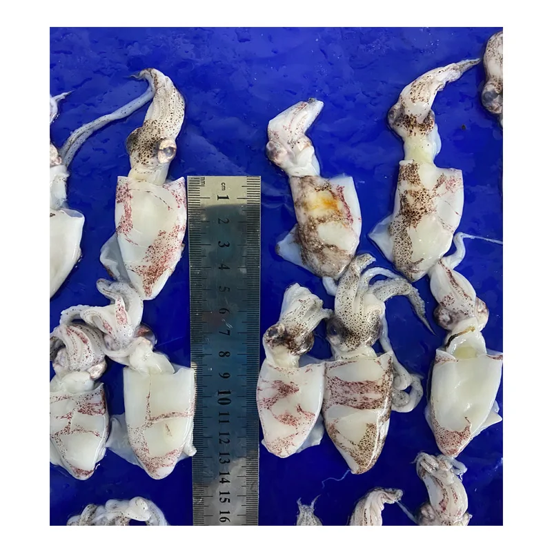 Good Price Seafood Fresh Frozen Fillet Baby Squid with best price