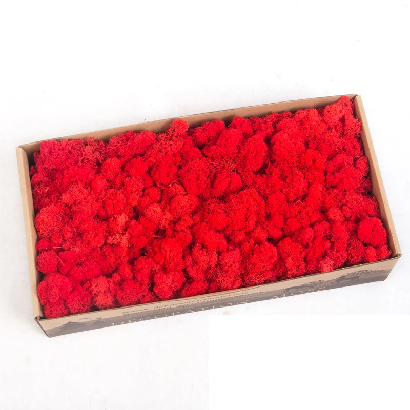 High Quality Preserved Reindeer Artificial Moss Decorative DIY Stabilized Moss For Wall Decoration