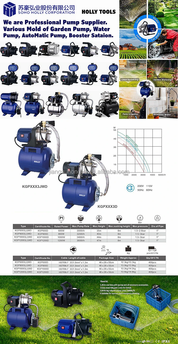 600W 800W 1000W 1200W Automatic Domestic Garden Water Pump with 19 Liter Pressurize Water Tank 0.8-1-1.25-1.6 HP Booster Station