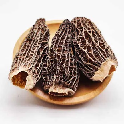 100% Natural Morel mushroom High Grade Wild Dried Mushrooms Wild Dry Morchella Mushrooms for sale