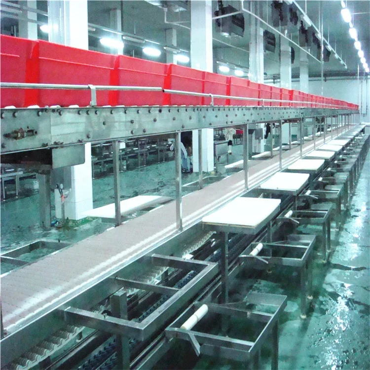 Halal chicken slaughter processing line for Muslim slaughterhouse