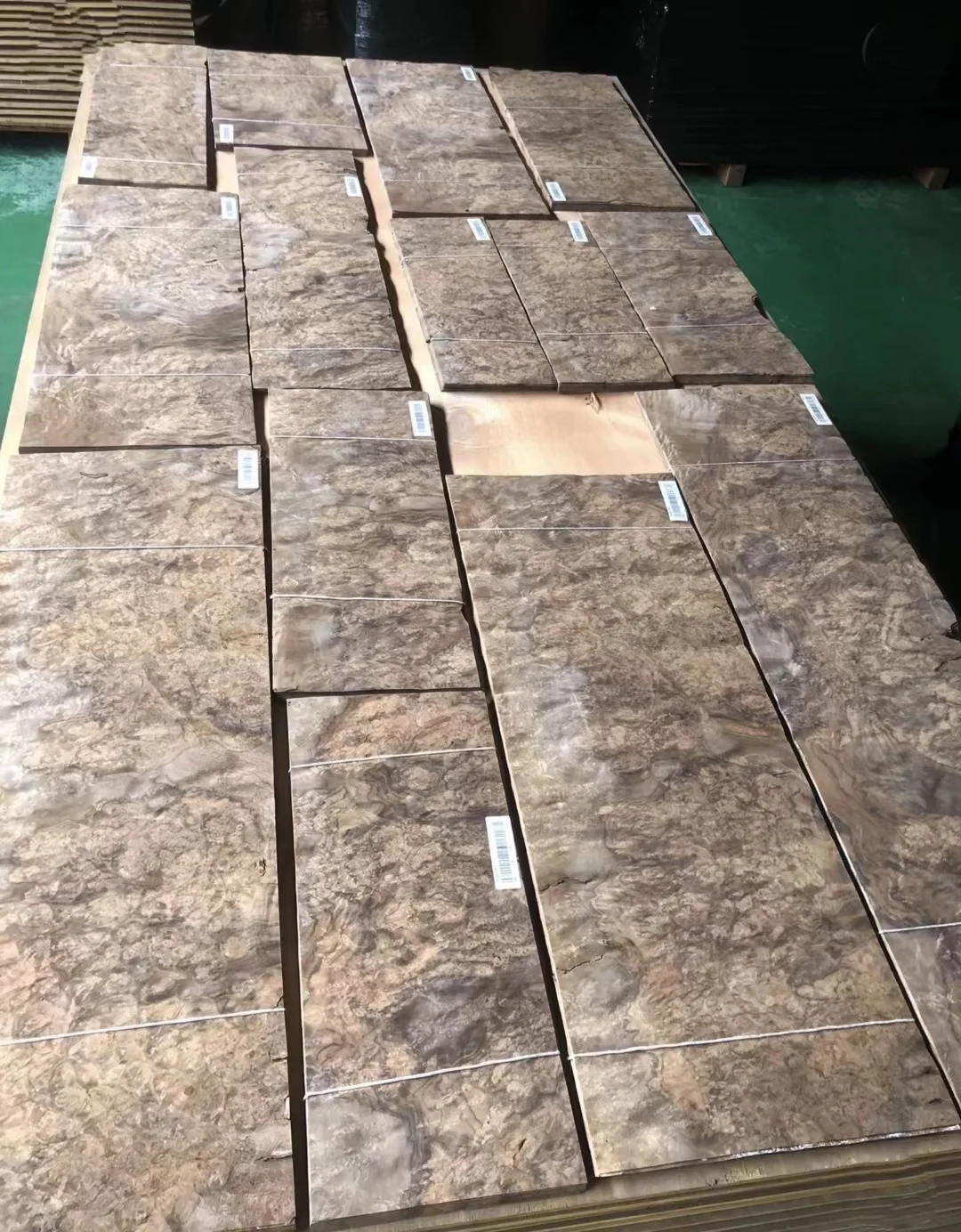 Big Size Black Walnut Crotch Veneer in Stock