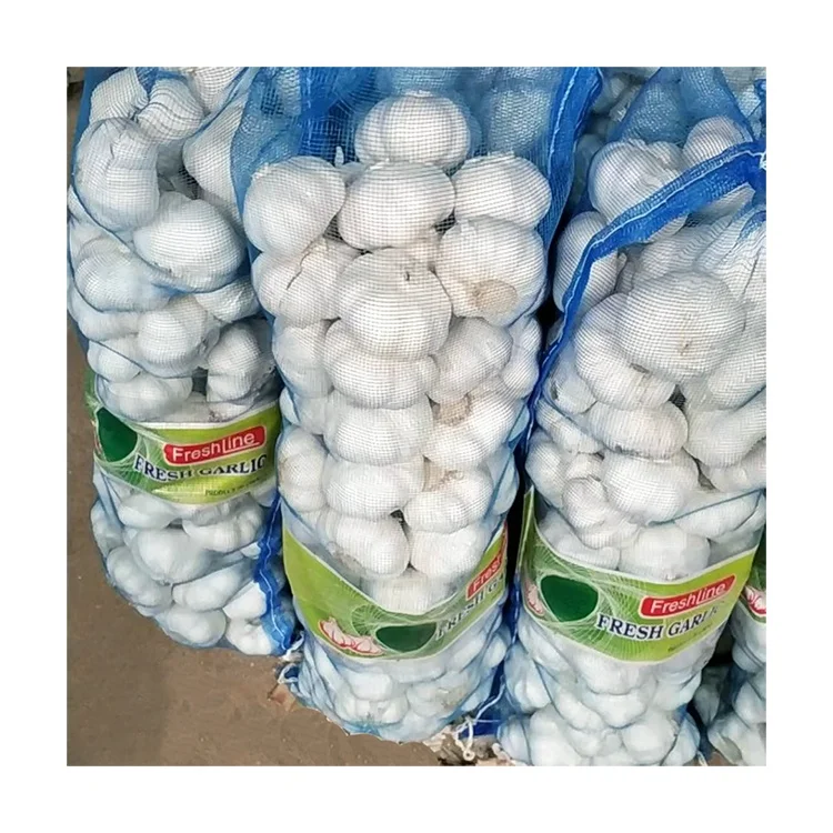 Chinese pure white garlic 4kg mesh bag high quality wholesale low price GLOBAL GAP fresh garlic
