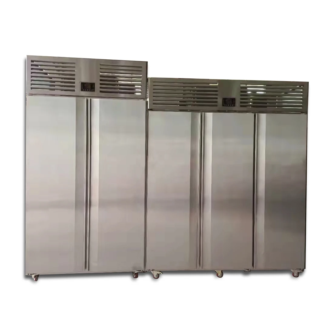 Shock Flash Fish Meat Quick Food Freezing IQF Machine Instant Industrial Cryogenic 500kg Hour Chiller Blast Freezer