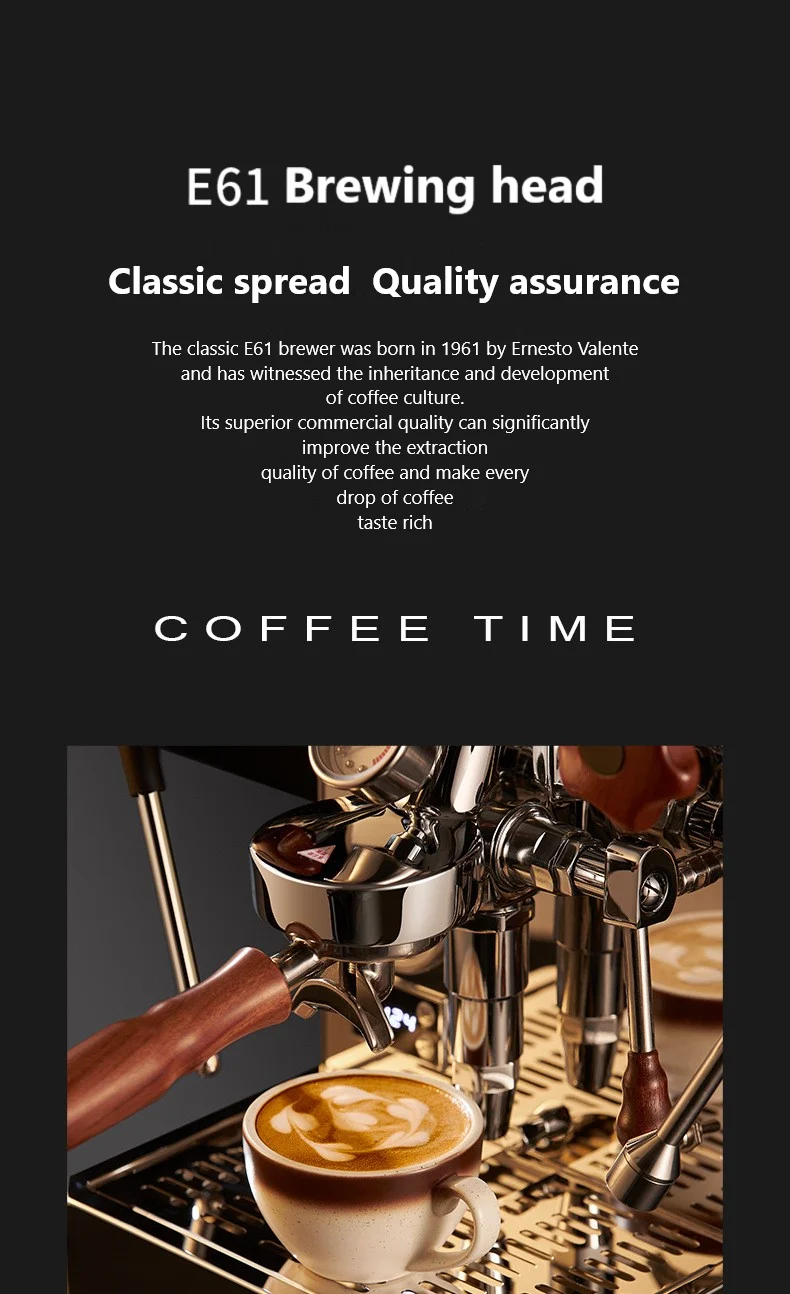 Smart Electric Italian Coffee Maker Espresso Syphon Automatic Programmable Multifunctional Stainless Steel Housing Car Use US