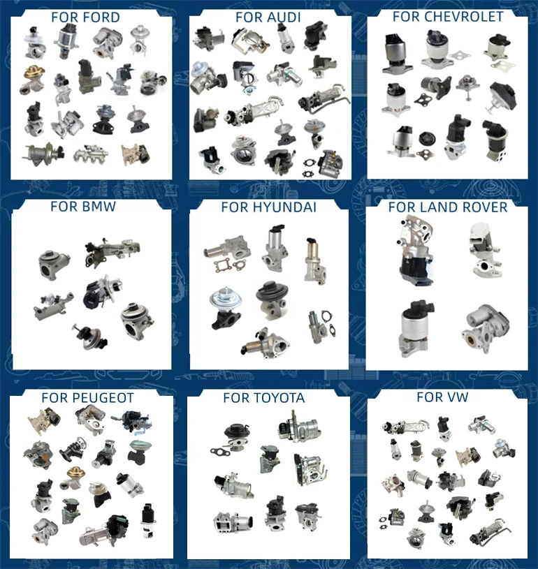 EGR Valve For BMW 1Coupe convertible  2 X1 3 X3 5 touring X5 6 X6 7 E60 E61 E83 E81 E90 E92 E93 E70 E82  11717810871 11717805447