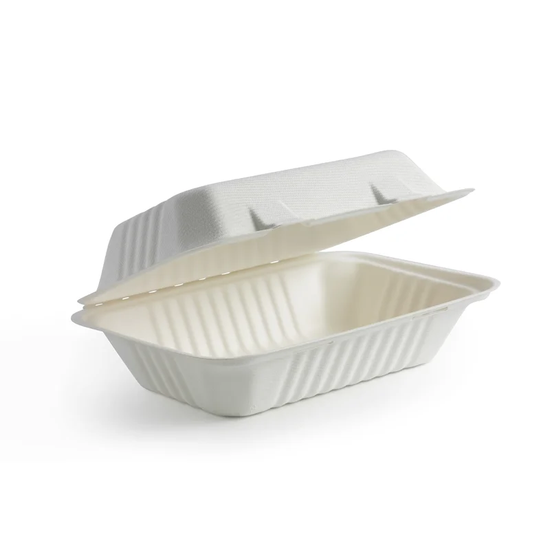 Biodegradable White Bagasse 1000ml 9x6 Inch Takeout  Food Container