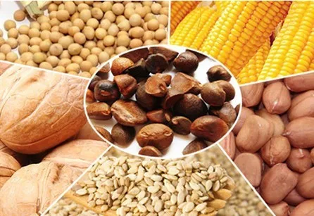 2023 hot sale household oil press small scale sunflower oil press