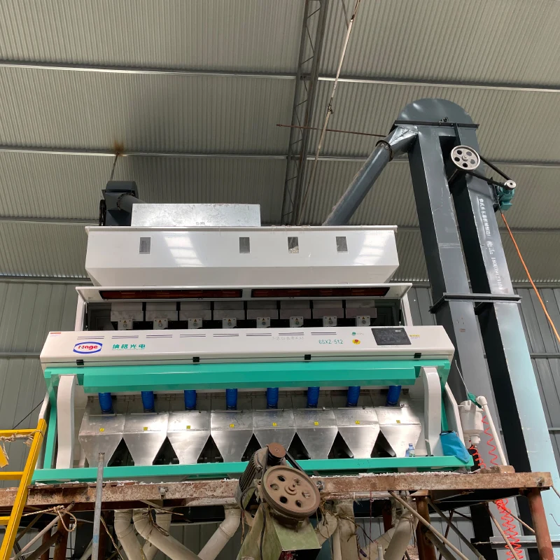 5 ton per hour rice color sorter machine rice classifier