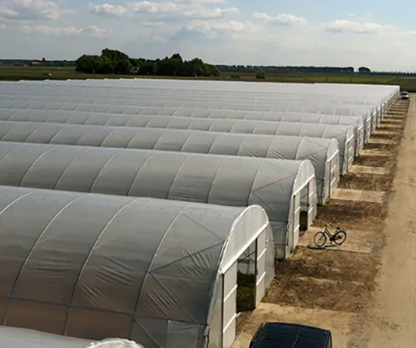 China Factory Outlet Single-span Greenhouses Customized One-Stop  Polytunnel Farming High Tunnel Agriculture Greenhouse