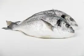 
Sea Bream whole / Fillet / Fresh 