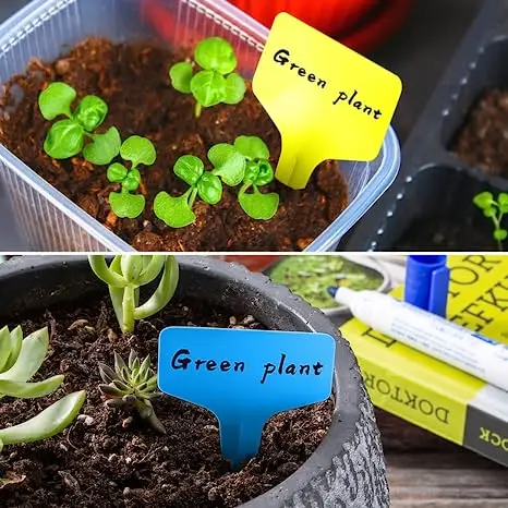 Plastic Waterproof Reusable Gardening Flower Plant T-Type Succulent Label For Flower Vegetables Herb Signs for Tagging Plants