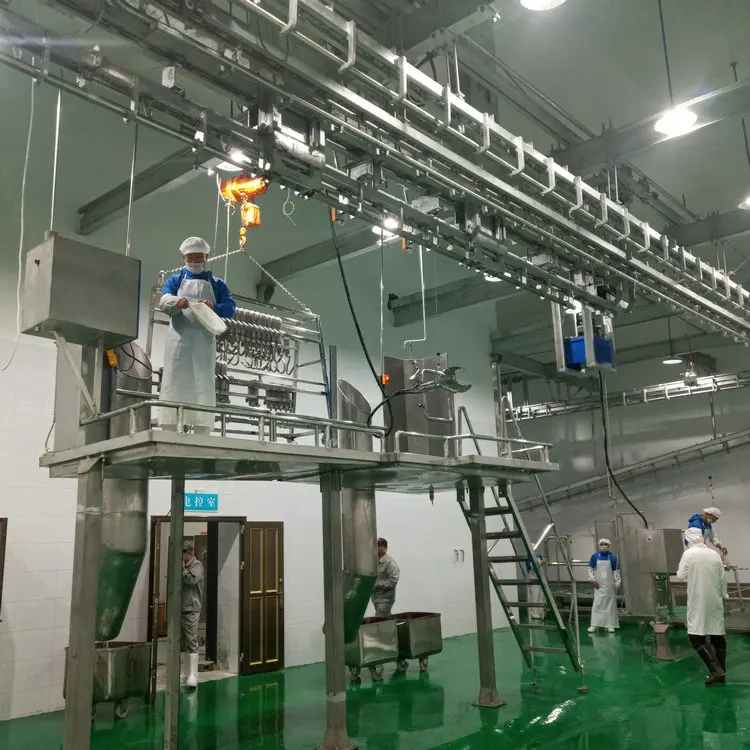 Kosher Bovine Slaughterhouse With Calves Meat Processing Equipment