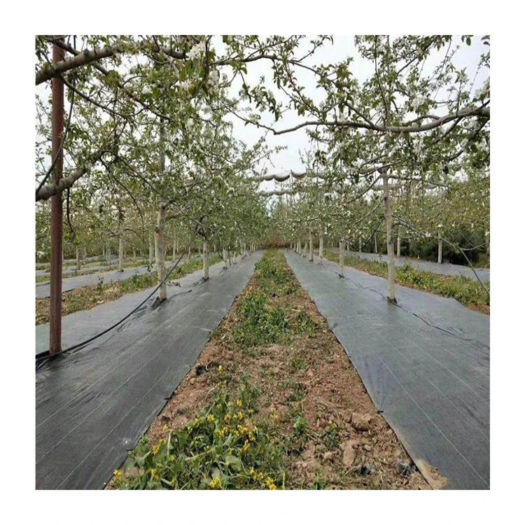 Black Pp Polyethylene Fabric Non Woven Agricultural Organic Dust Weed Control Mat