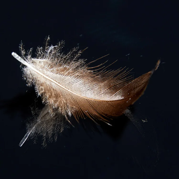 Завод по производству пуховых изделий Benruson, длина 2-4 см, Мытые серые утиные или гусиные перья