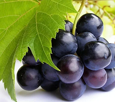 High Quality Flavor Concentrate Grape Essence for Juice Ice Jelly Food Flavour Essence for food factories