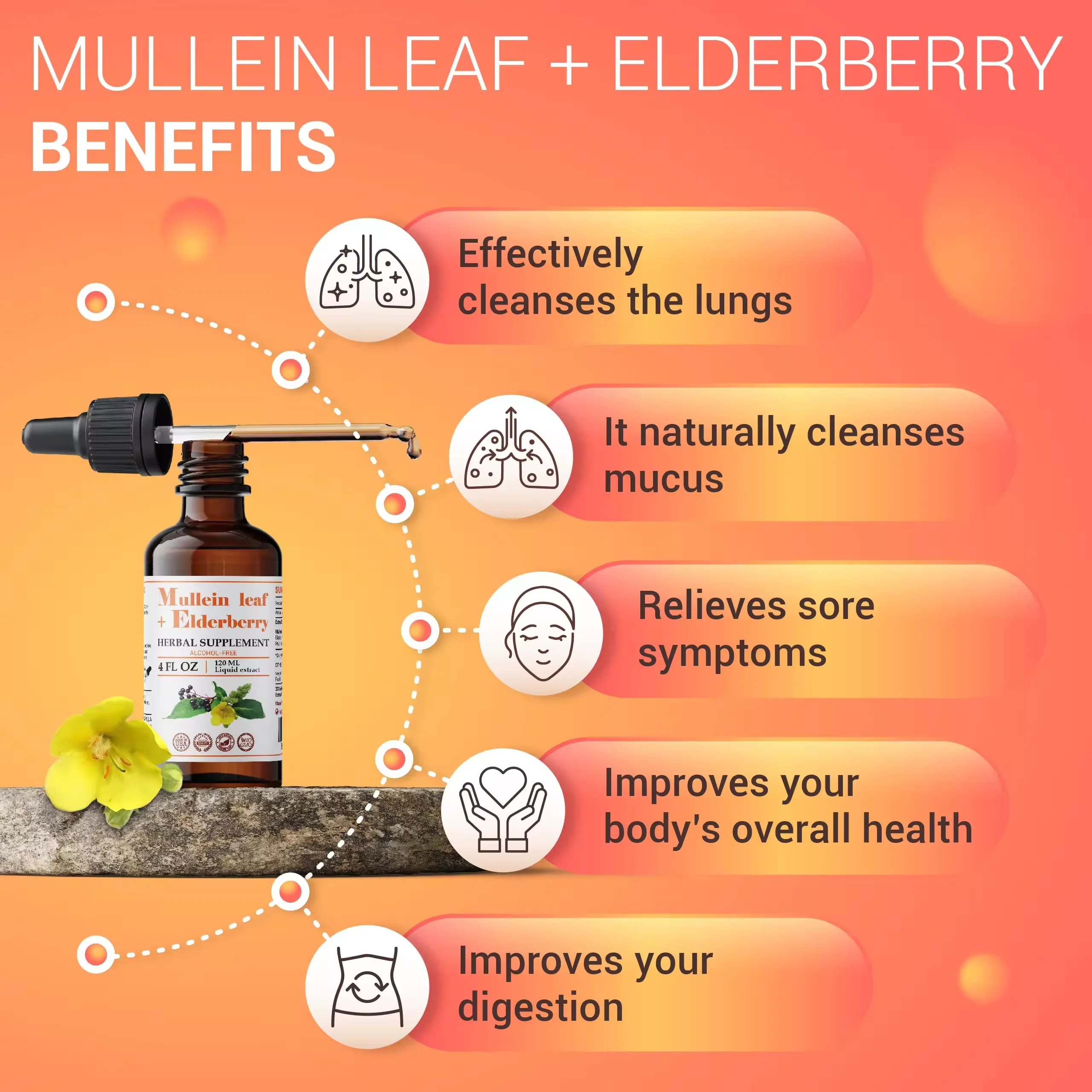 Mullein Leaf Drops with Elderberry for Lung Detox Mullein Tincture Bronchial Cleanse Respiratory Support Mullein Supplement