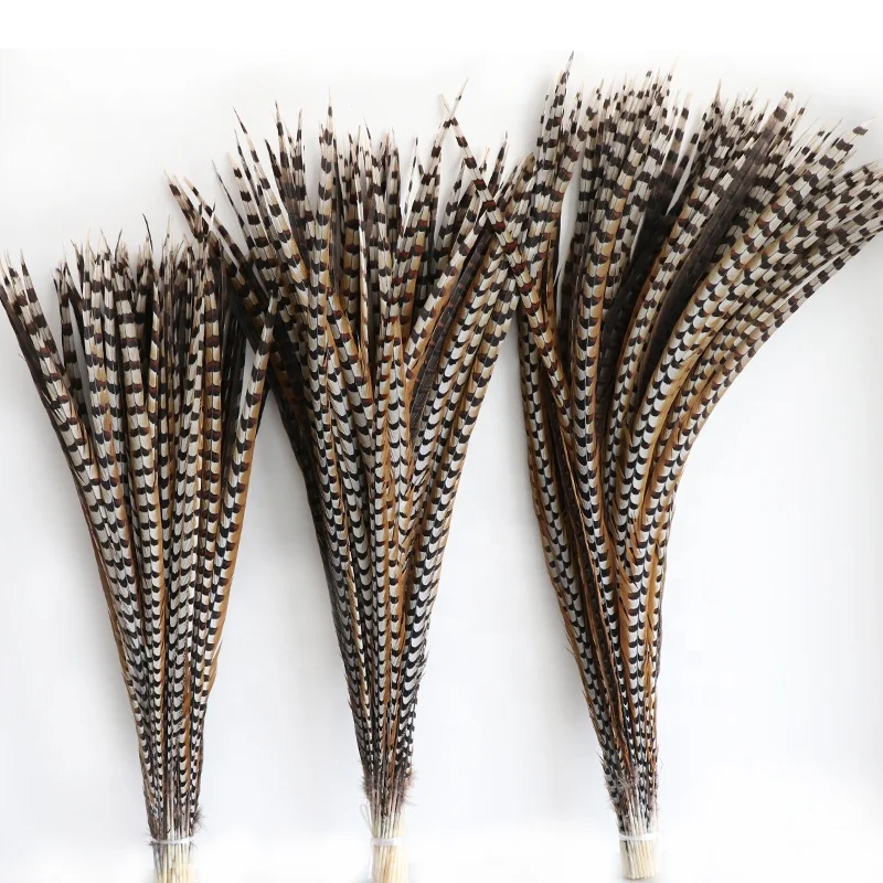 Wholesale Stock Selected Top Quality 20-150 cm Natural Long Ringneck Reeves Pheasant Tail Feathers large plumas