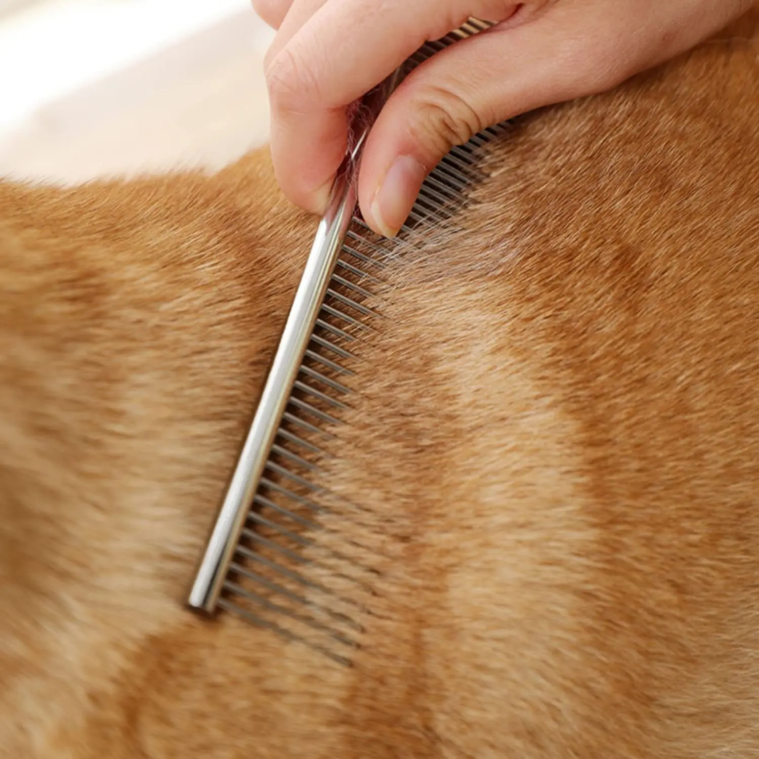 Stainless Steel Fine Tooth Pet Beauty Grooming Comb Professional Grooming Tool Comb For Dog, Cat And Other Pets