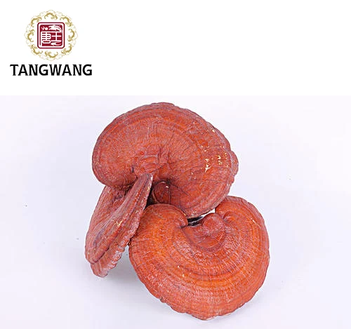 
Factory direct supply of high - quality and low - price Chinese herbal medicine natural ganoderma spore powder 