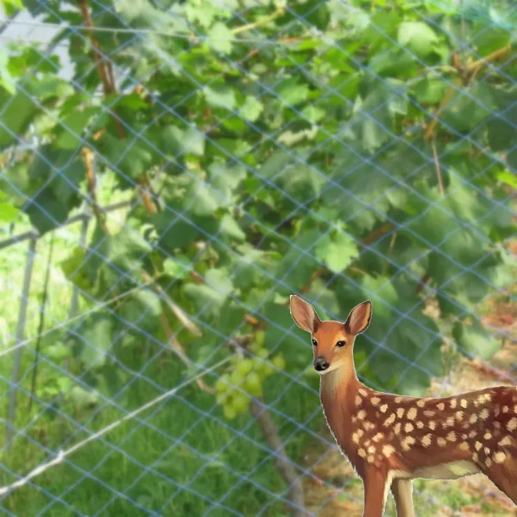 Anti-Bird  Plastic Trellis Net Garden Netting Plant Protecting Net for Protecting Vegetables Plants and Fruit Trees