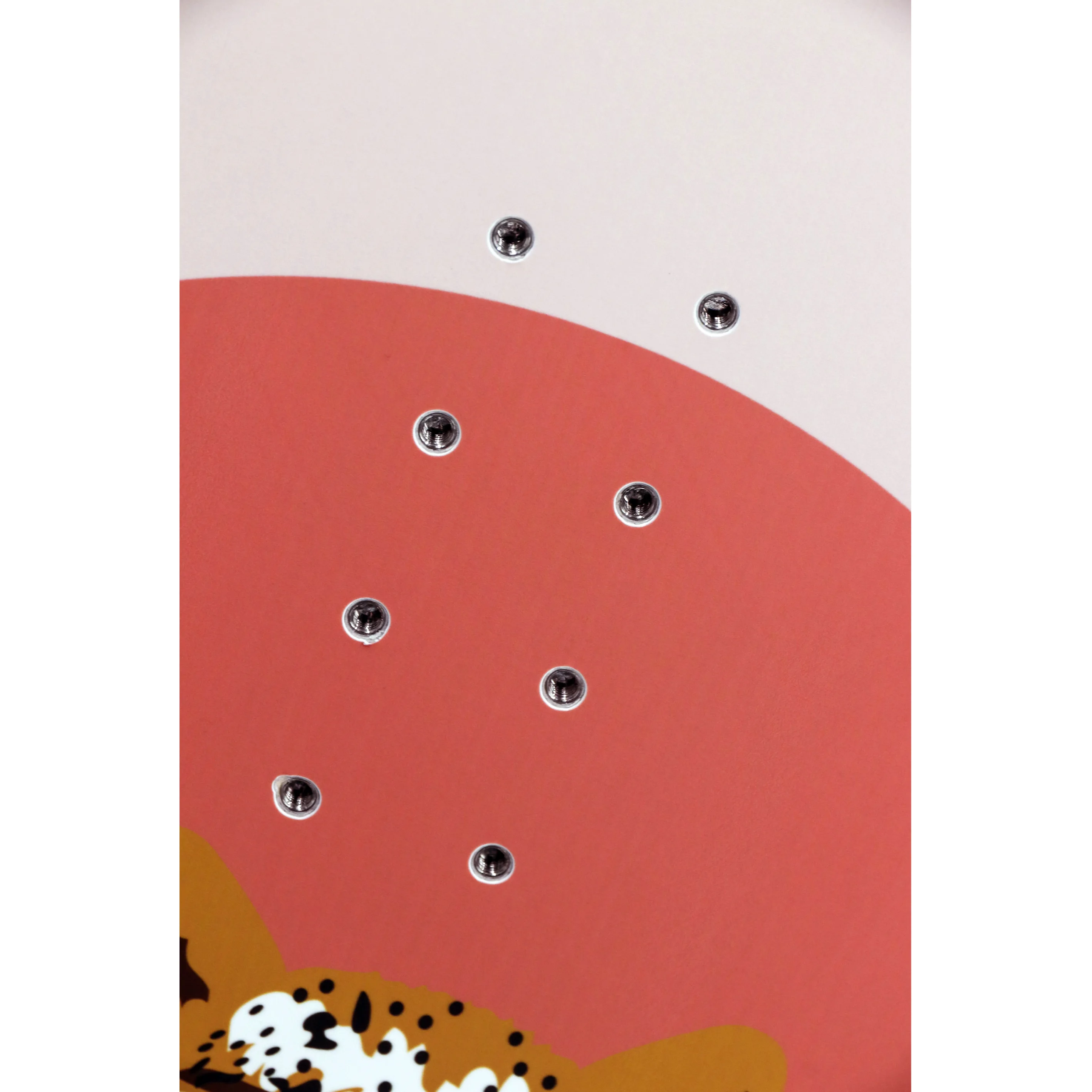 
snowboard freestyle gift snowboard 