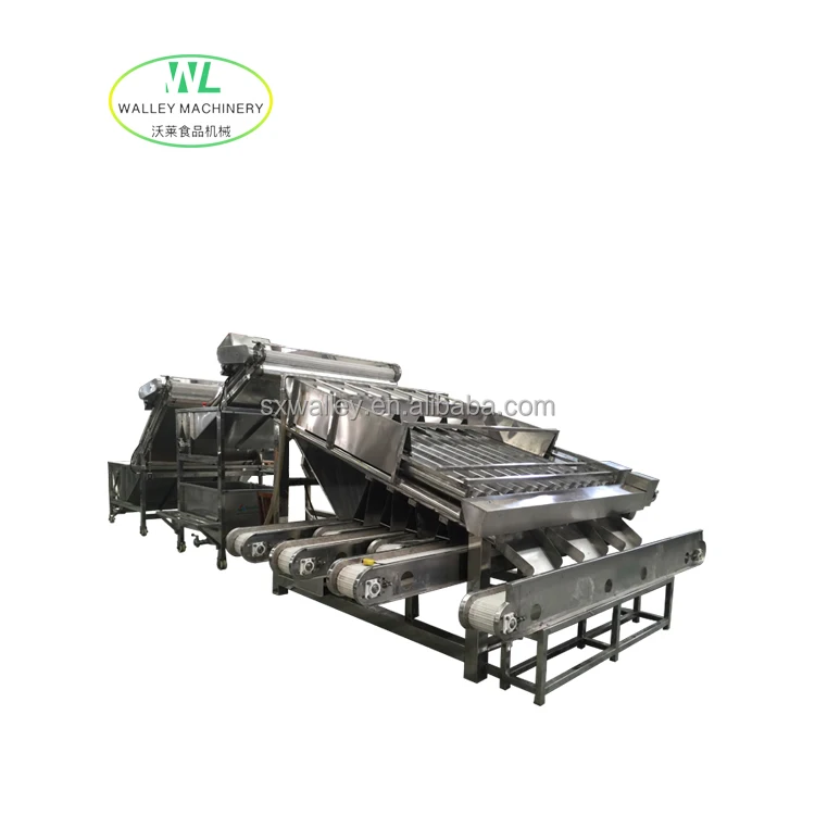 Hotsale Industrial Prawn Washing Size Separator Automatic Fish Sorting Equipment Sardine Grader Shrimp Grading Machine