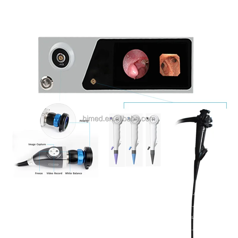 Medical Portable Ear Endoscope Camera System Intraoral Endoscope Dental Intraoral Endoscopy Camera Endoscopic